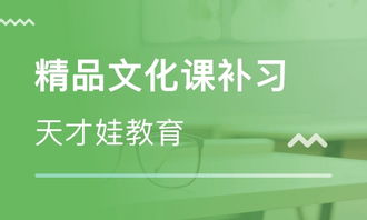 苏州精品文化课补习价格 小学辅导哪家好 苏州天才娃教育 淘学培训