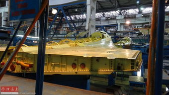 美刊揭秘俄军新型战机苏 30sm1 从叙实战中获得改进方案